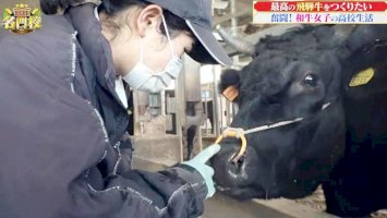 “感動”最高の飛騨牛をつくりたい…「和牛女子」の高校生活に完全密着！-–-テレビ東京