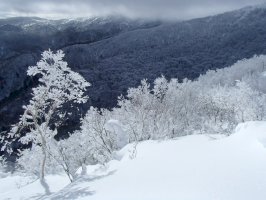 春の雪山に行くためのに天気予報と雪山技術の基本を学びましょう。登山教室timtamが2月～3月に講習会を開催-/-yamakei-online-–-株式会社-山と溪谷社