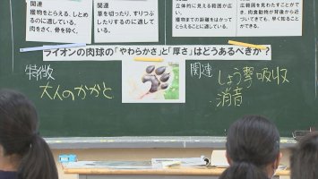 「ライオンの肉球の硬さは…」京都市動物園とオンラインでつないだ授業-鳥取県大山町（bss山陰放送）-–-yahoo!ニュース-–-yahoo!ニュース