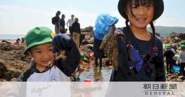 まなづる小で「海の学校」-ふるさとの海を学ぶ取り組み-–-朝日新聞デジタル