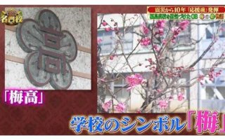 震災から10年…福島高校を勇気づけたobたちによる「梅の絆の物語」とは？｜テレ東プラス-–-テレビ東京