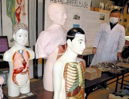昭和世代には「ちょっぴり怖い」小学校の理科室、内臓塗り分けた人体模型が並ぶ-–-読売新聞